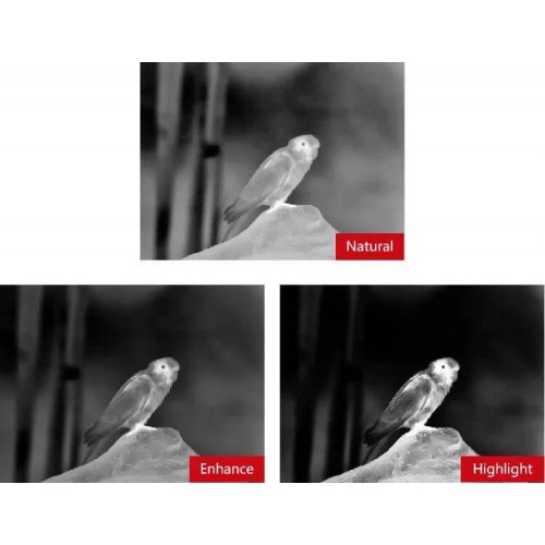 Тепловизионный бинокуляр Guide TN430 400х300, ø35мм, лазерный дальномер в Серпухове