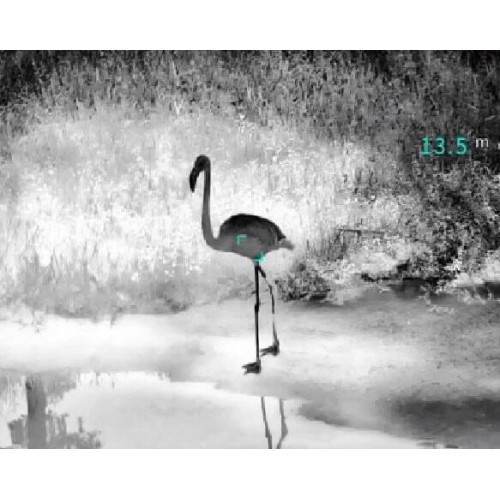 Тепловизионный бинокуляр Guide TN430 400х300, ø35мм, лазерный дальномер в Серпухове