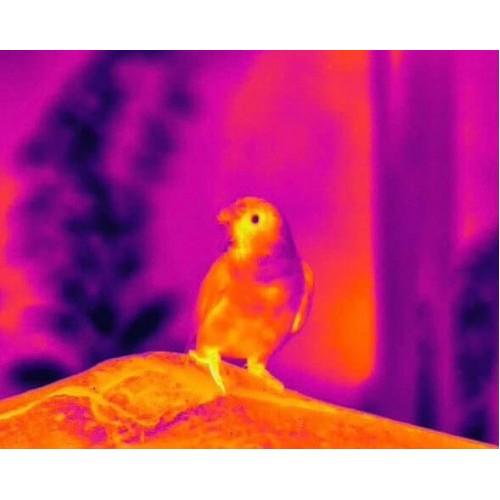 Тепловизионный бинокуляр Guide TN430 400х300, ø35мм, лазерный дальномер в Серпухове